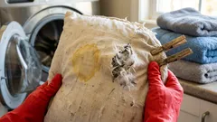 Come lavare i cuscini in piuma in lavatrice senza grumi: guida pratica